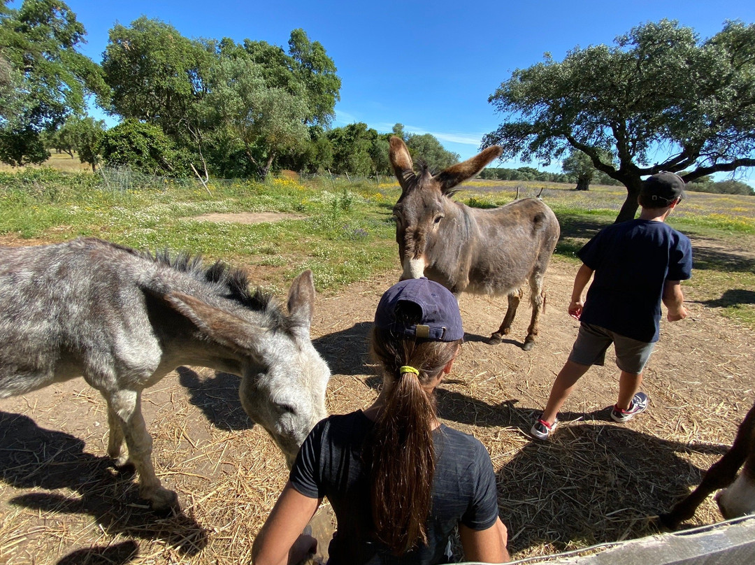 Quinta do Cano主图