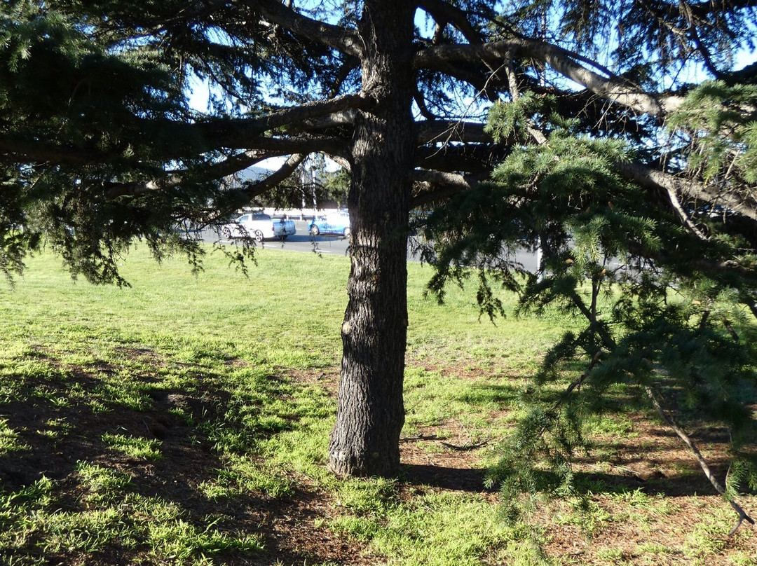 Soldiers Memoral Reserve-霍巴特必去景点