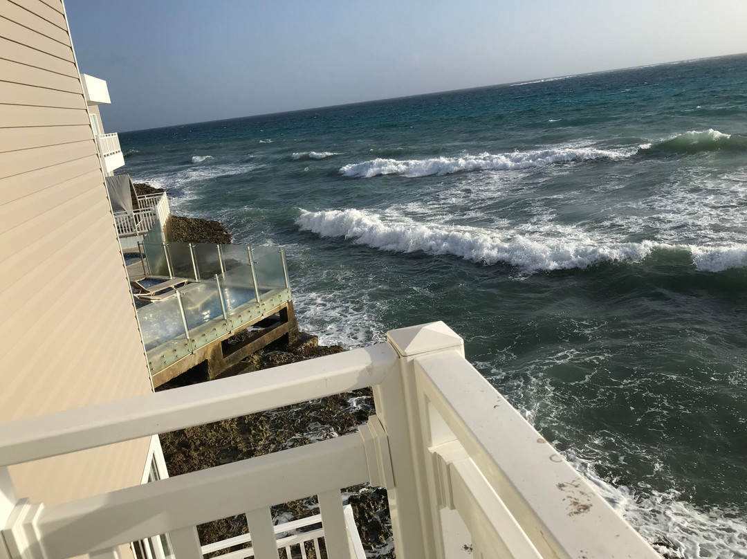 Decameron Maryland主图