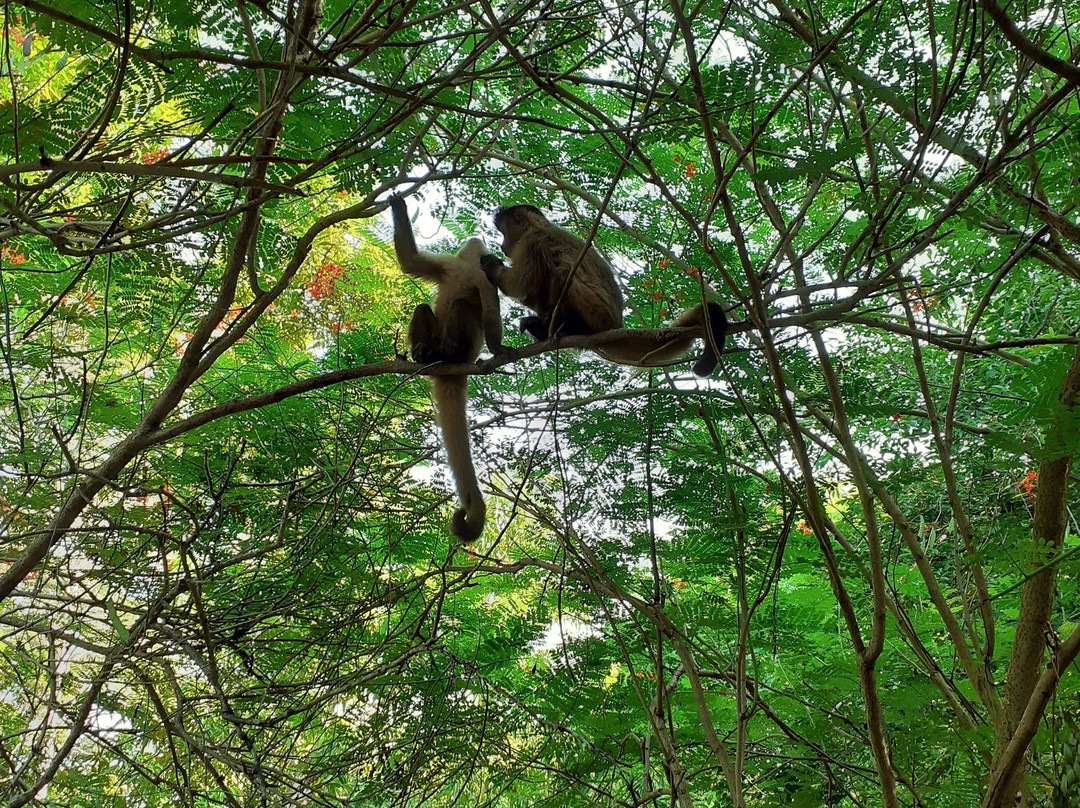 Jabiru Tour-Cuiaba必去景点
