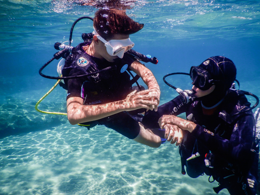 Wild Fun Dive-扎金索斯必去景点