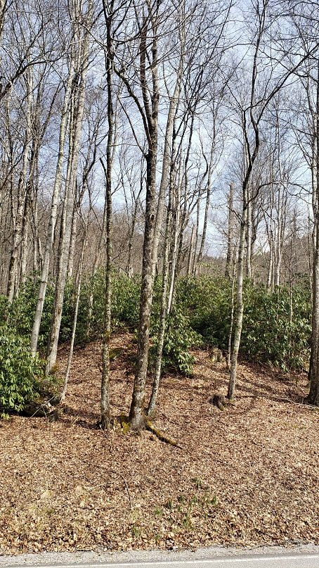 Great Smoky Mountains National Park-盖林柏格必去景点