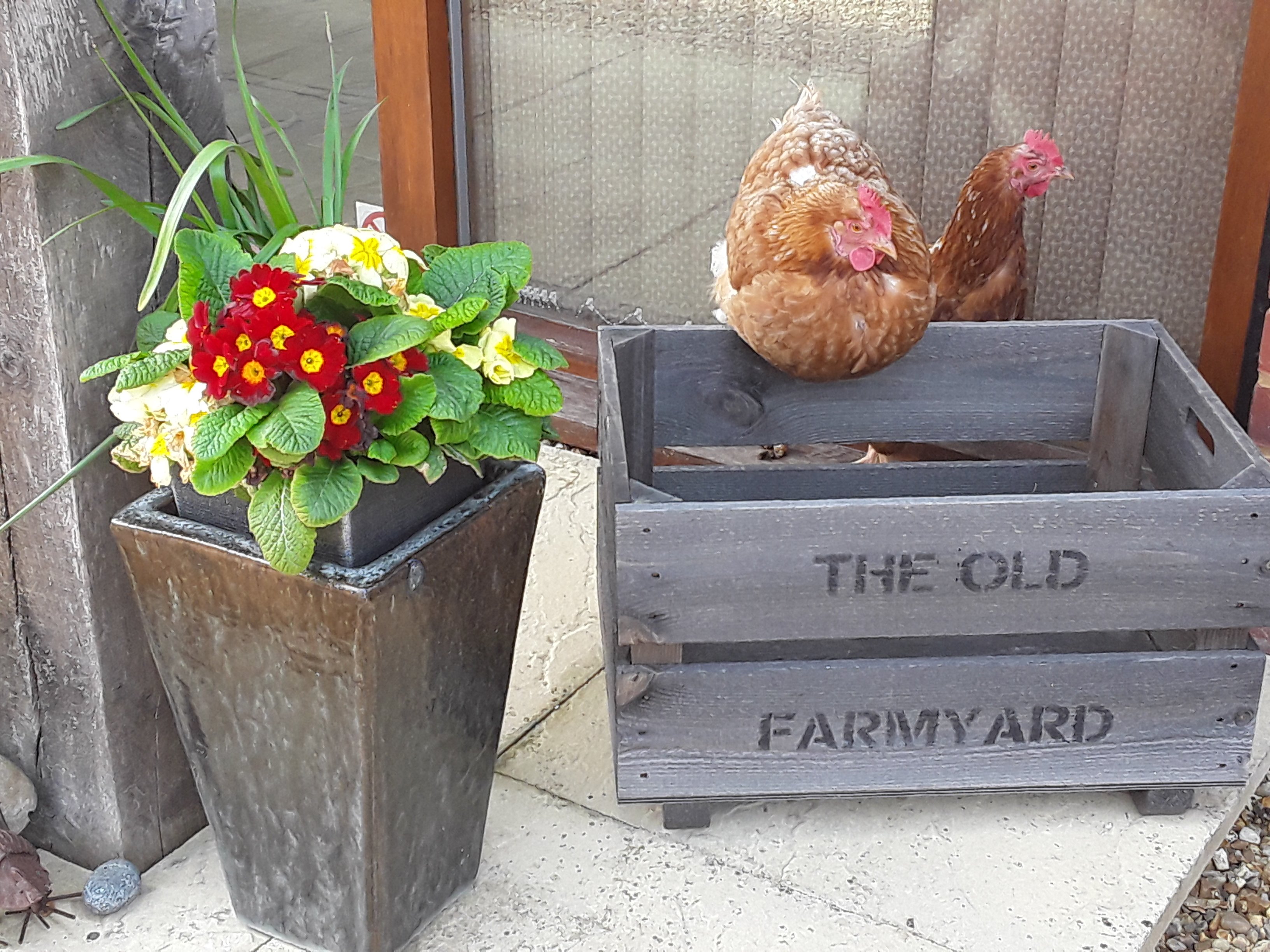 The Old Farmyard B&B-官方