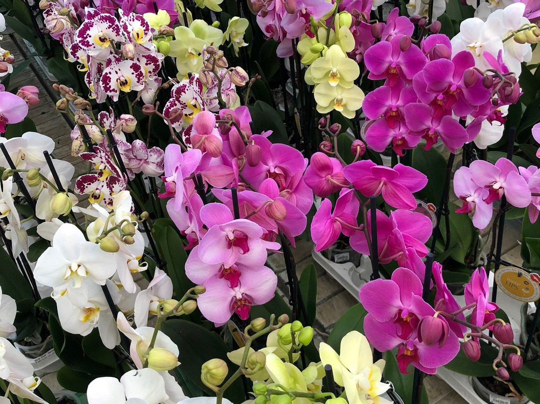 Nardo' garden-纳尔德奥必去景点