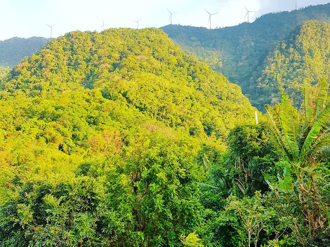 Puerto Galera Zipline-葡多咖蕾拉必去景点