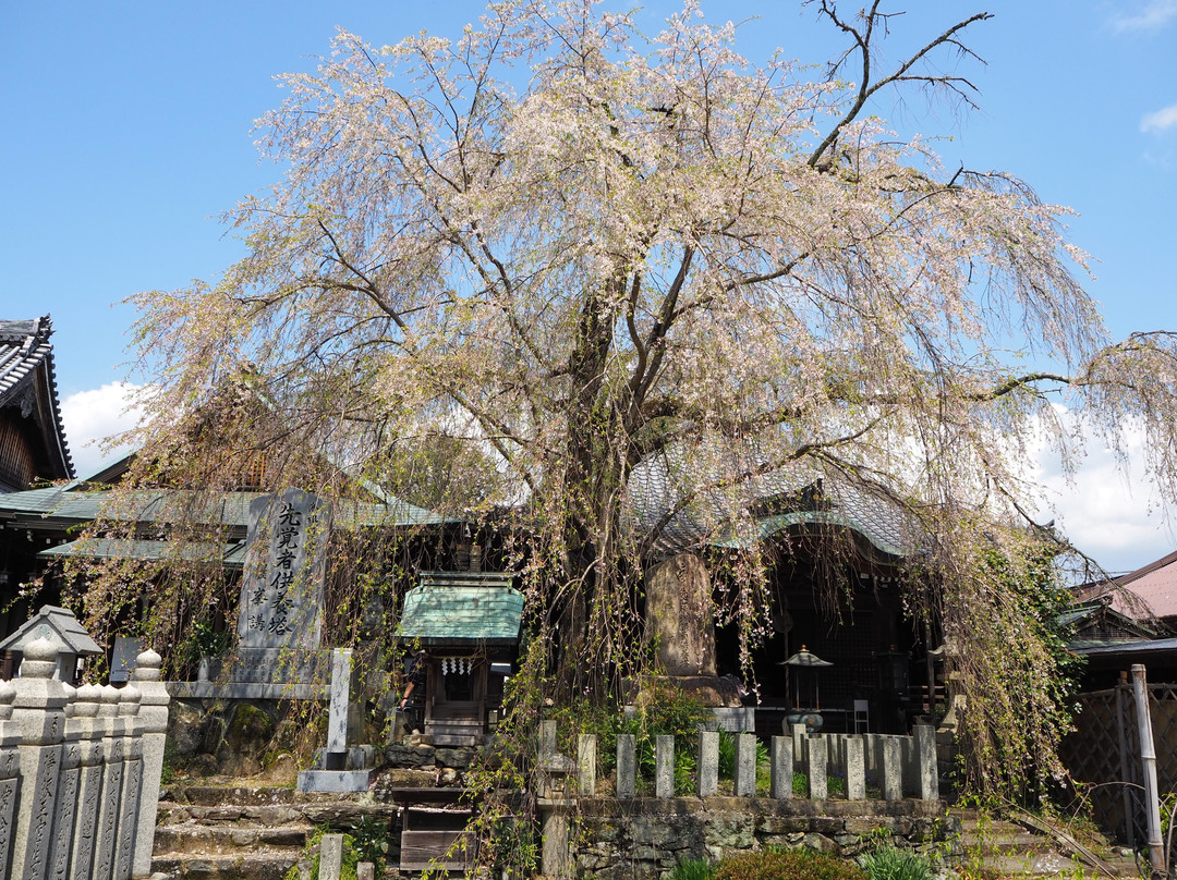 Sakuramotobo-吉野町必去景点