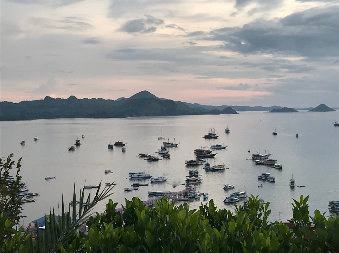 Bayview Gardens Hotel主图