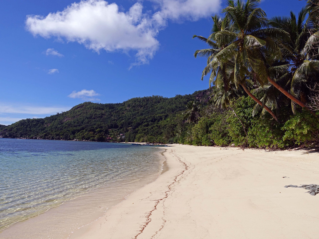 戴安斯弗尔本小木屋假日公园主图