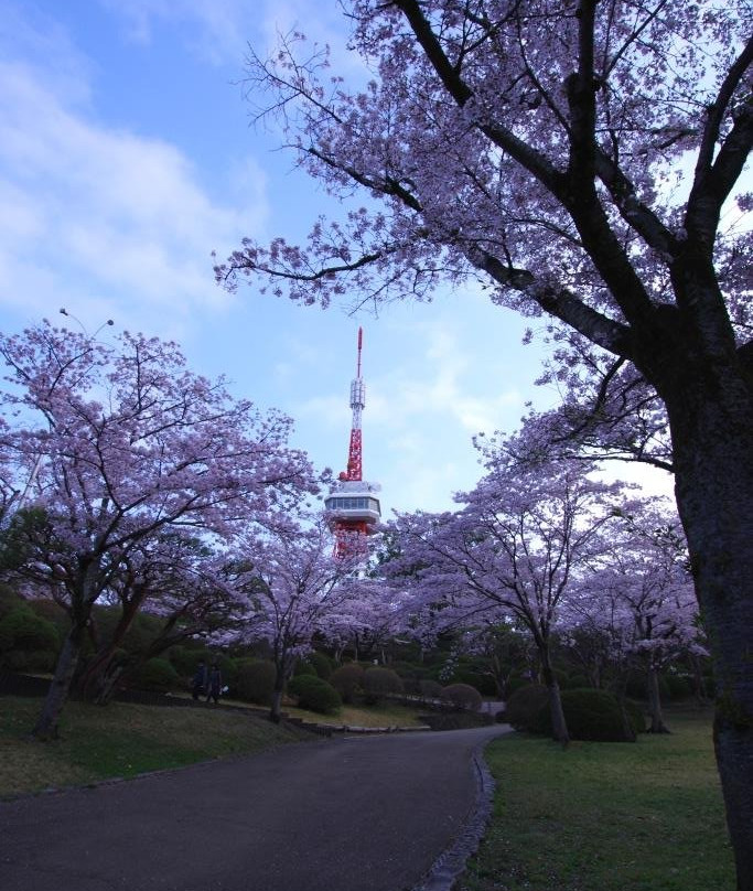 Hachimanyama Park-宇都宫市必去景点