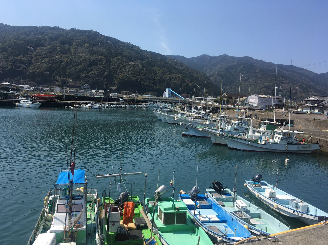 Saga Area Tsunami Evacuation Tower景点图片