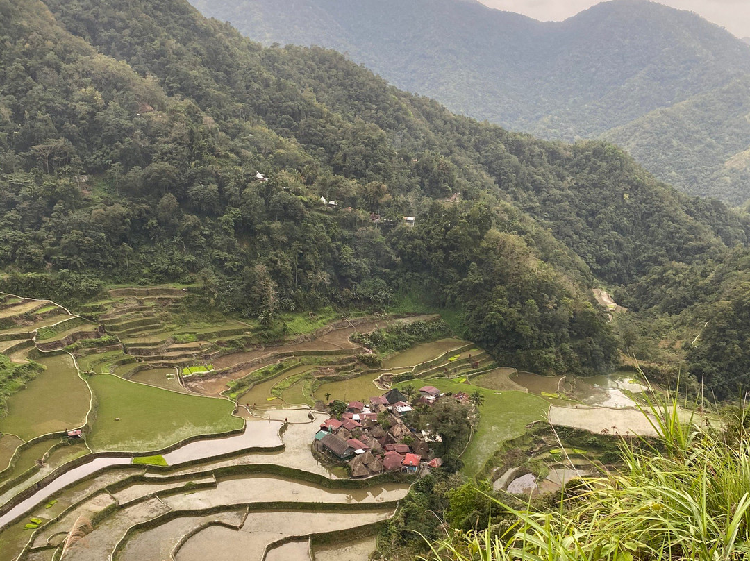 Bangaan Ifugao Rice Terraces景点图片