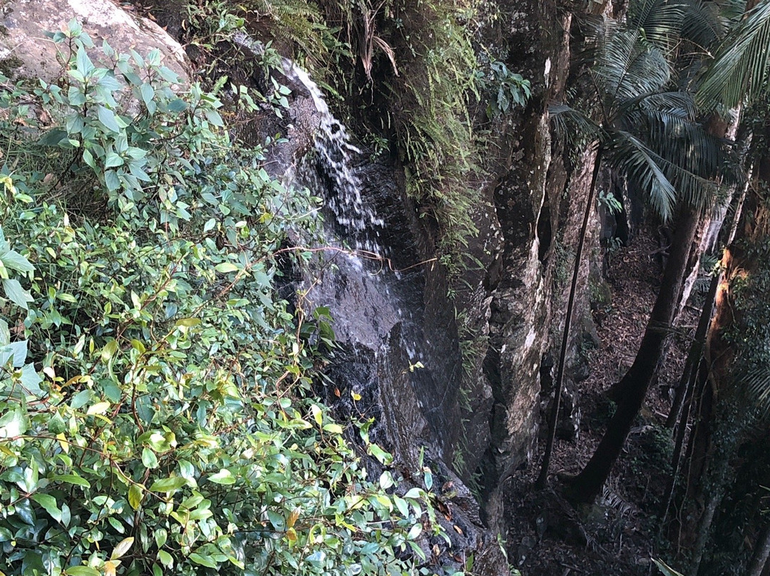 Witches Falls Walking Trail-丹百林山必去景点