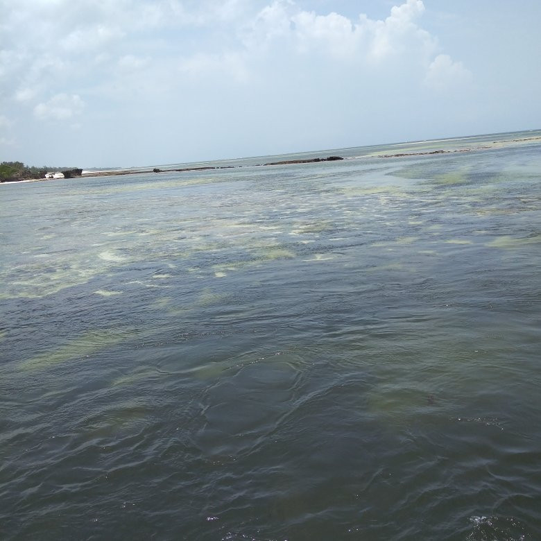 Mida Creek-瓦塔木必去景点