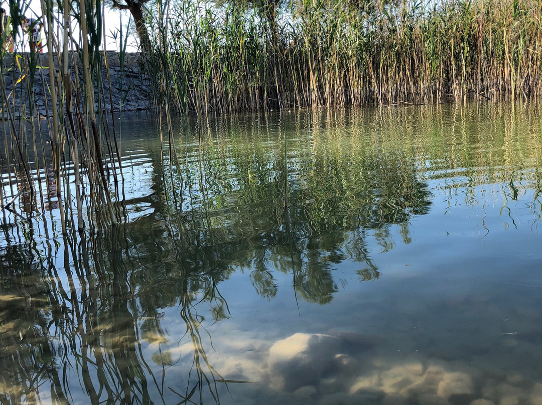 Vrana Lake Nature Park-Pakostane必去景点