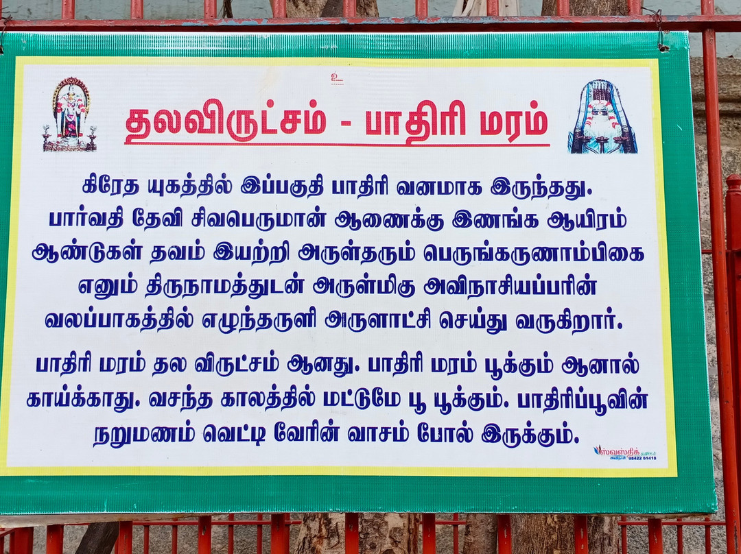 Avinashi Temple-Tiruppur必去景点