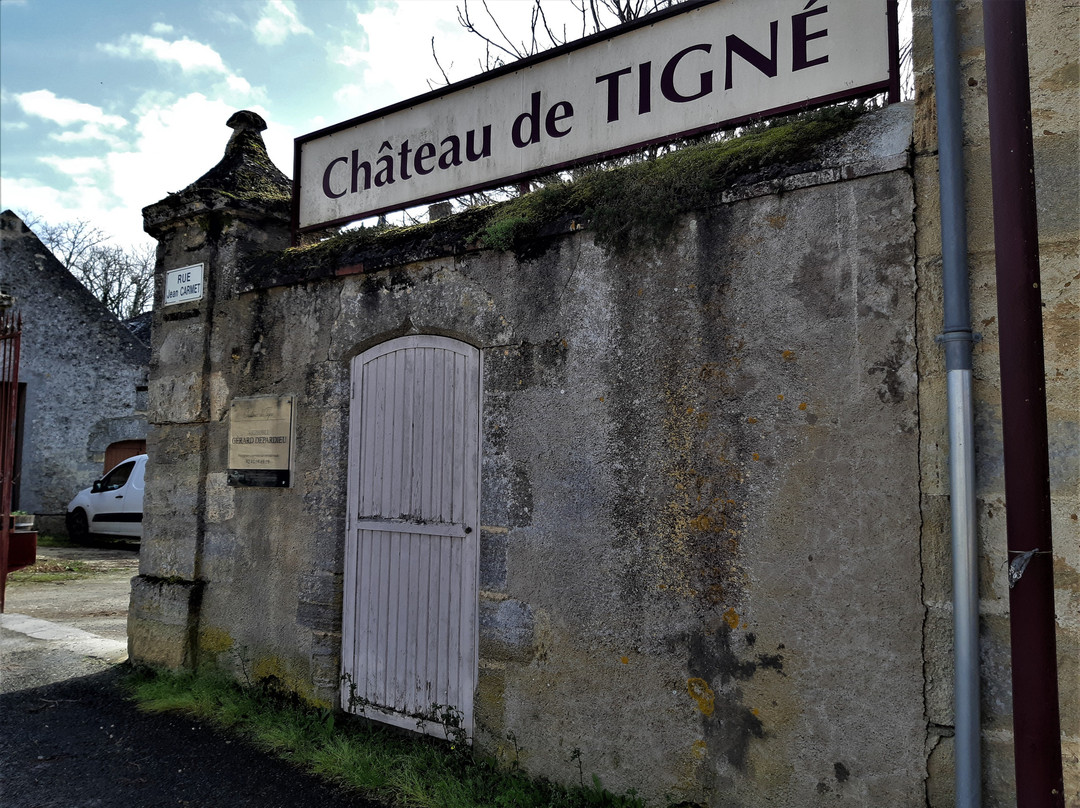 Château de Tigné Vins Gérard Depardieu景点图片