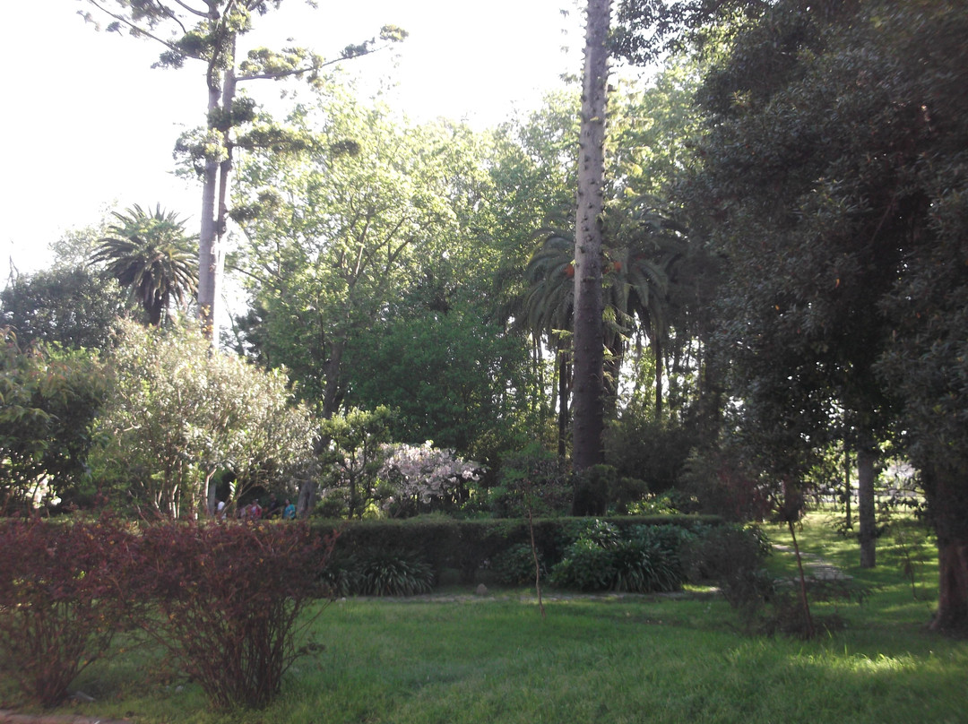 美术博物馆“胡安曼努埃尔布拉内斯”-蒙得维的亚必去景点