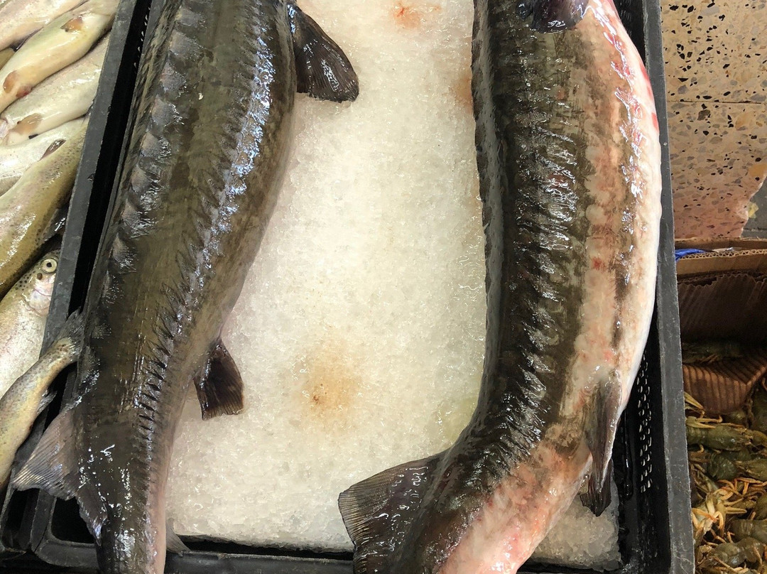 Seafood Market-巴统必去景点