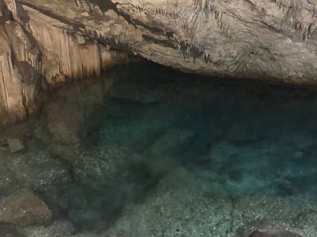 Cathedral Cave-汉密尔顿必去景点