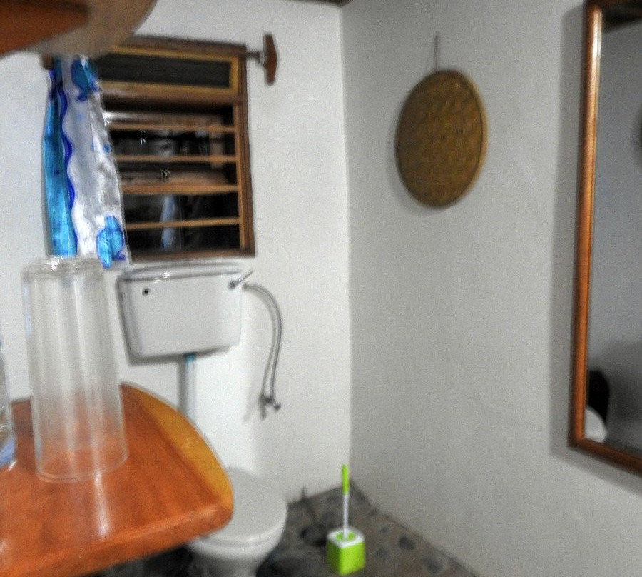 Chimpanzee Forest Lodge.主图