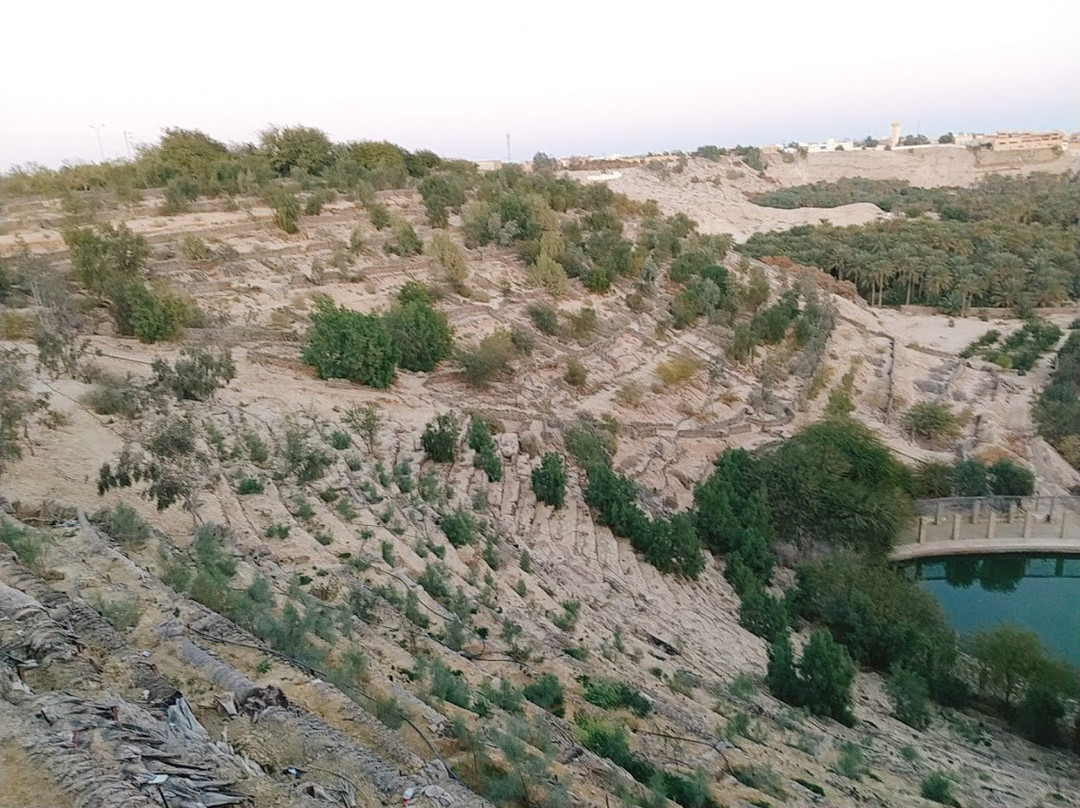 La Corbeille-内夫塔必去景点