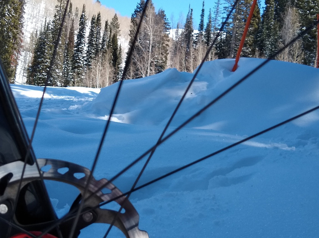 Mill Creek Canyon-盐湖城必去景点