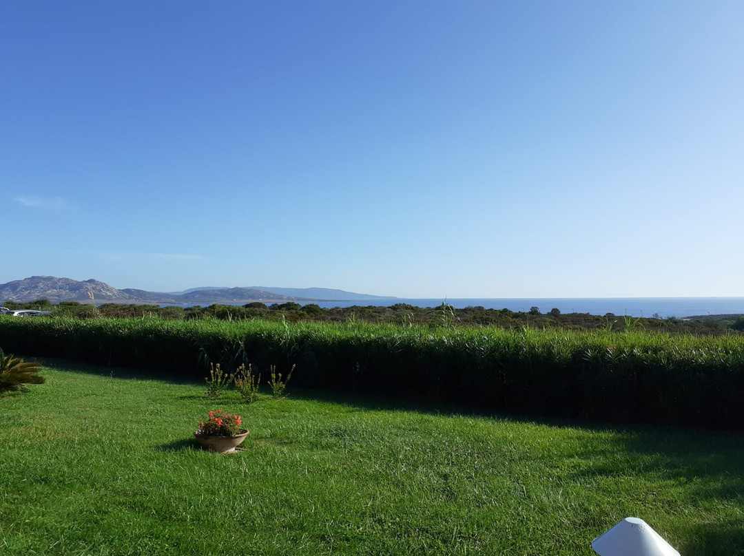 Cala Rosa Club Hotel主图