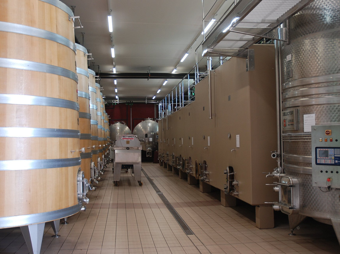 Massolino Winery景点图片