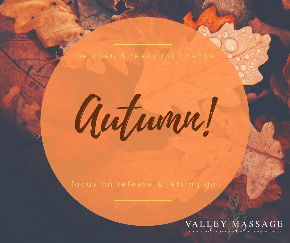 Valley Massage and Wellness景点图片