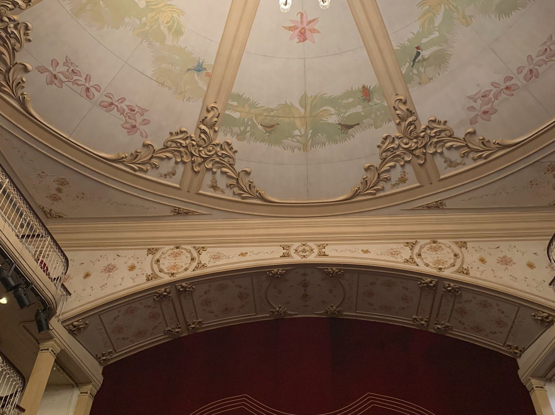 Theatro Sao Pedro-阿雷格里港必去景点