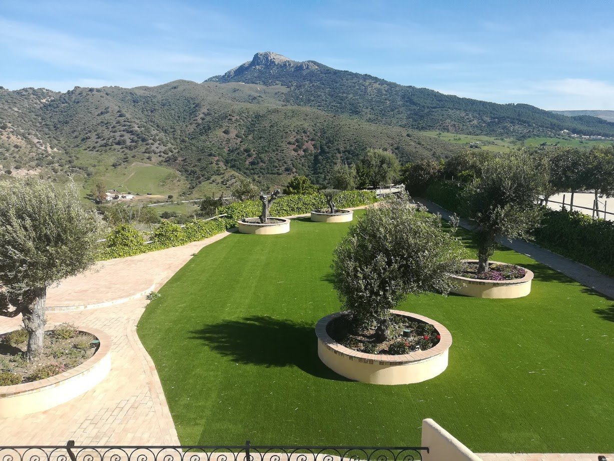 Hotel Cortijo Salinas-酒店景观
