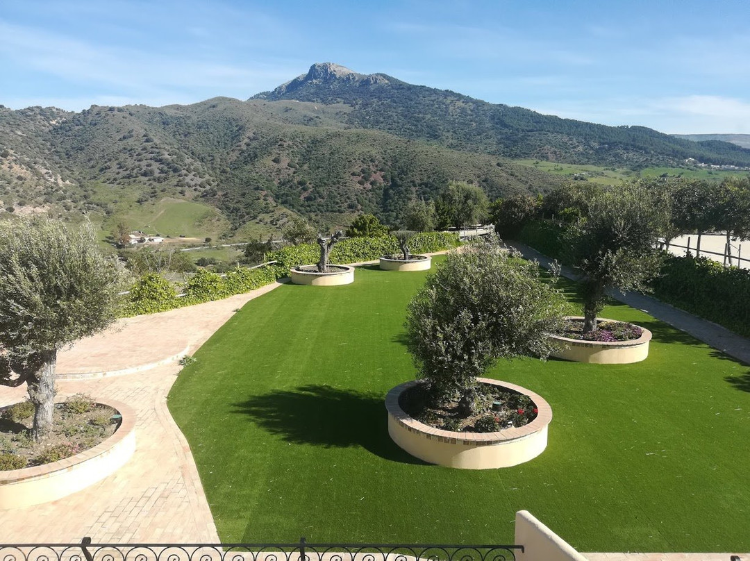 Hotel Cortijo Salinas主图
