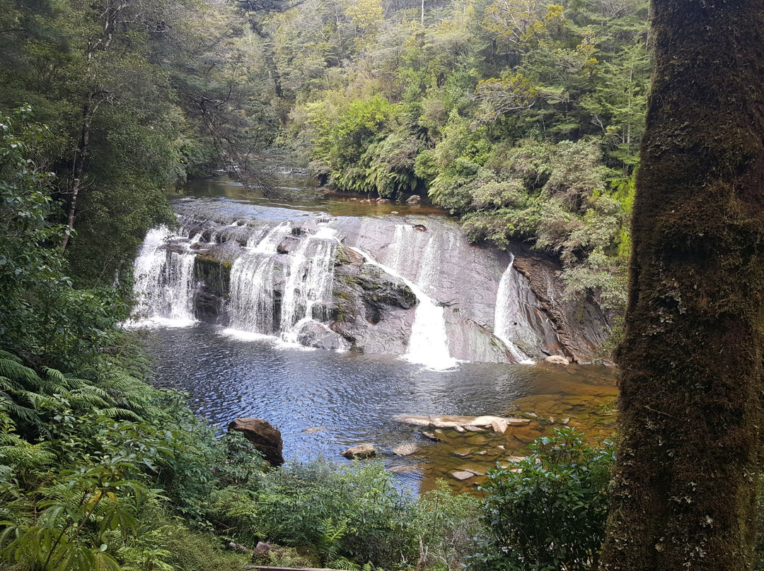 Coal Creek Track景点图片