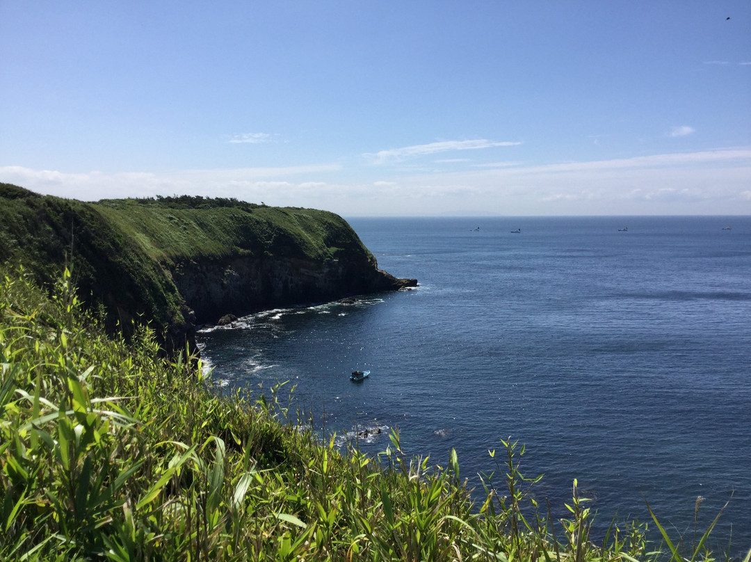 Jogashima Island景点图片
