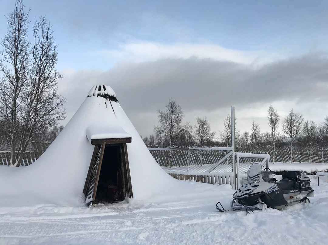 Sortland Villmarkssenter-Sortland必去景点