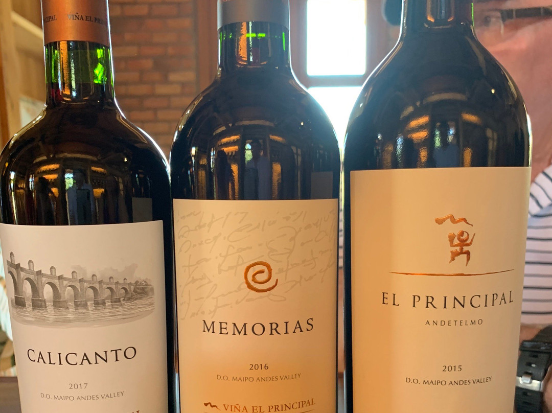 Vina El Principal景点图片
