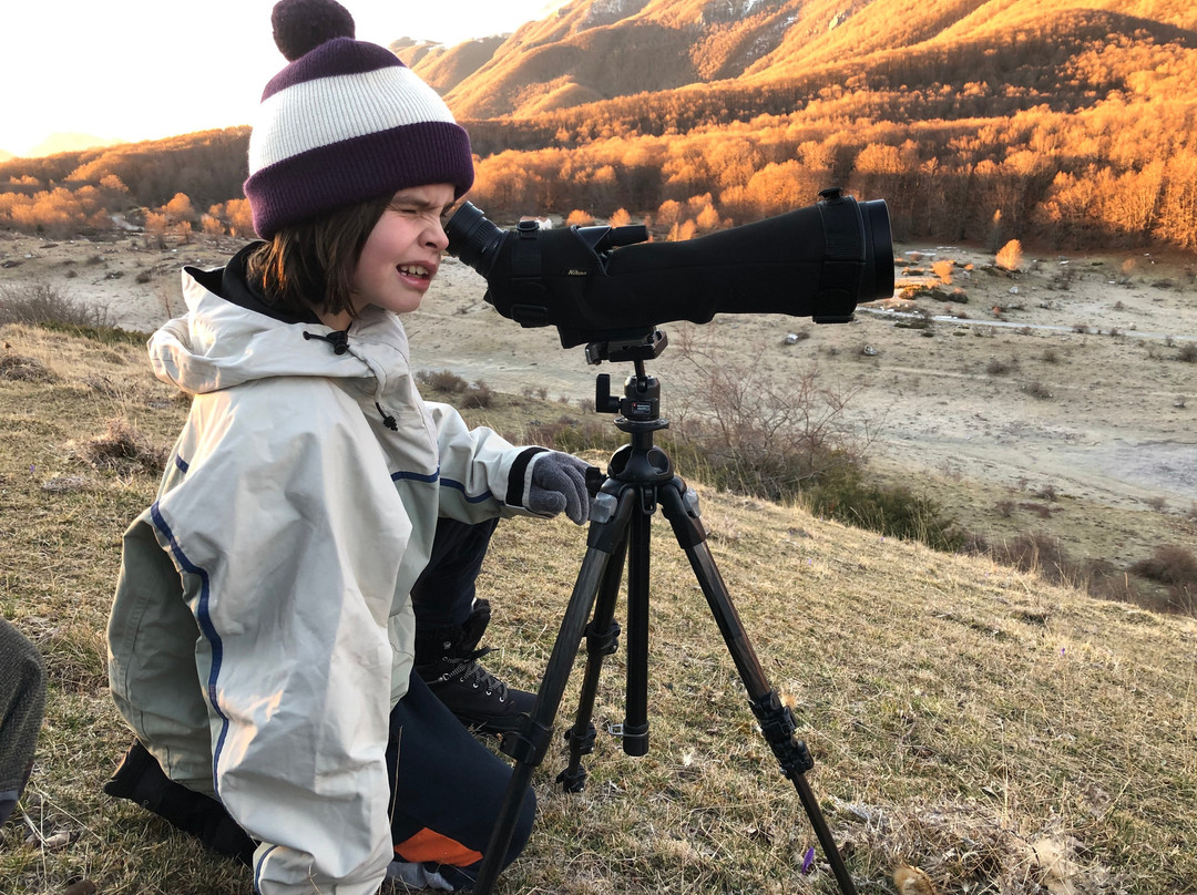 European Safari Company景点图片
