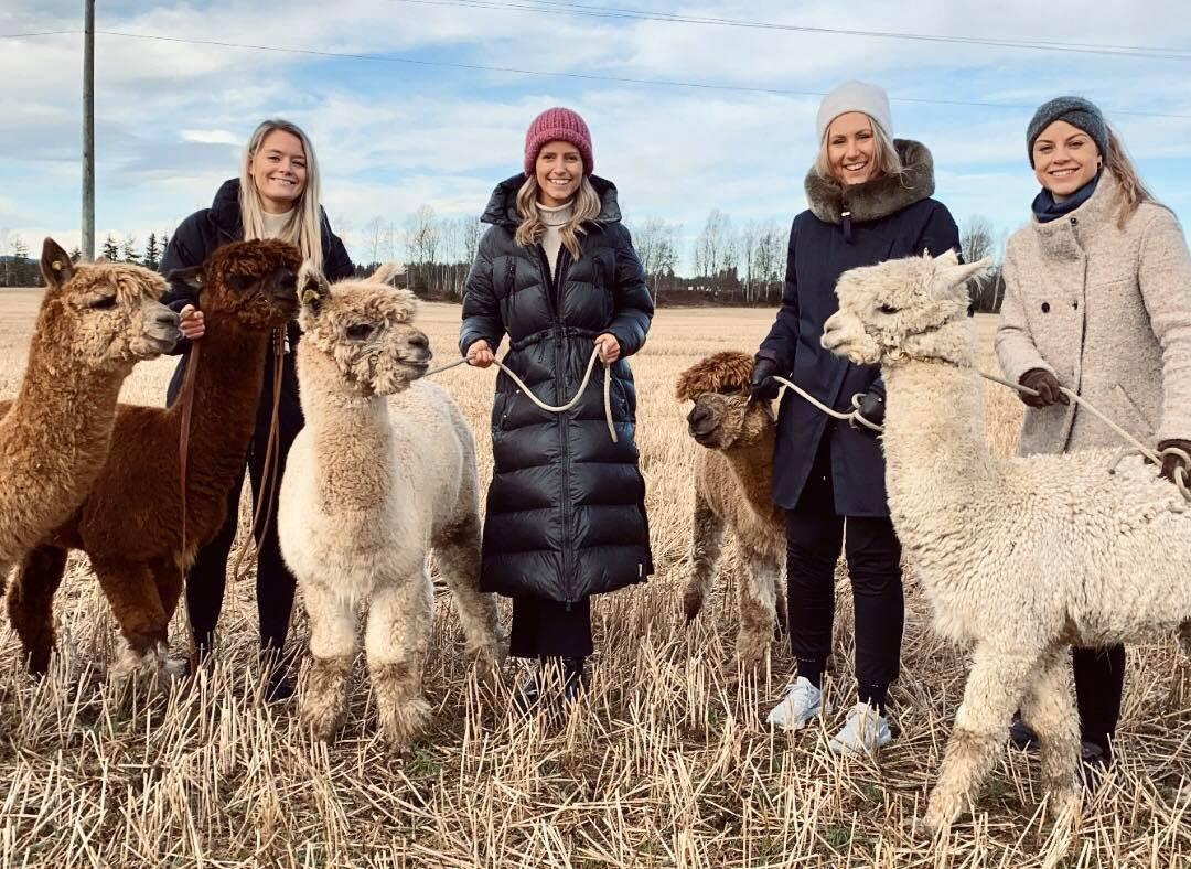 The Alpaca Farm-Aurskog-Holand Municipality必去景点