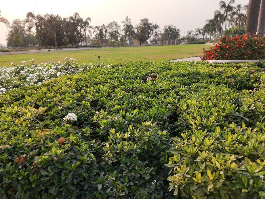 UK's Resort Khopoli主图