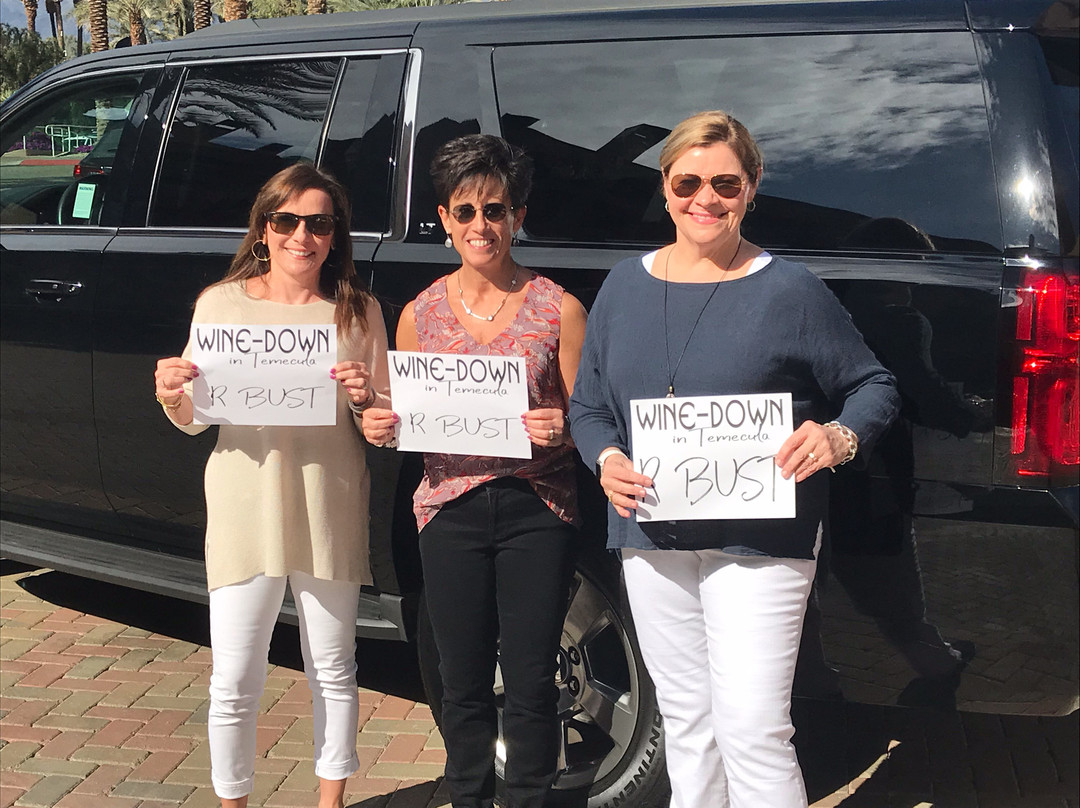 Shuttle Me Five Star Transportation-棕榈泉市必去景点