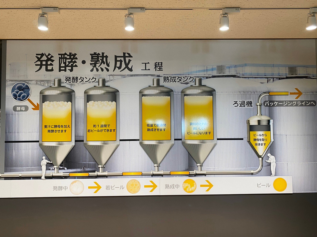 Sapporo Beer Chiba Factory-船桥市必去景点