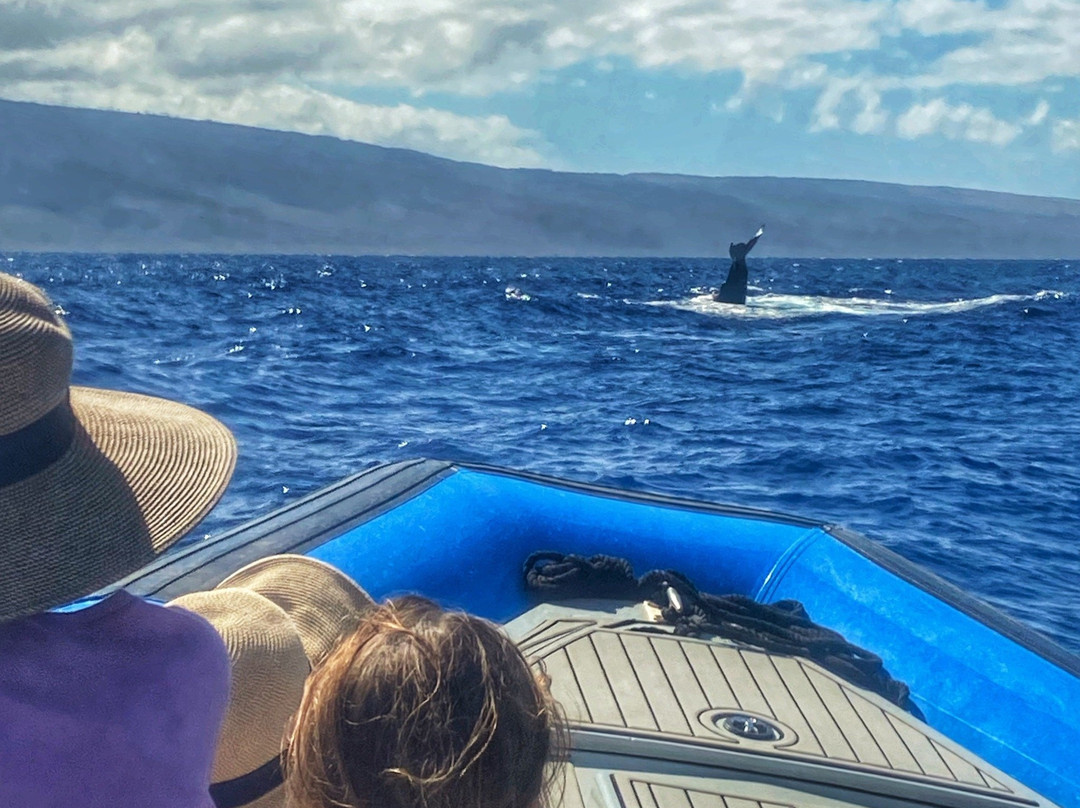 Blue Water Maui-拉海纳必去景点