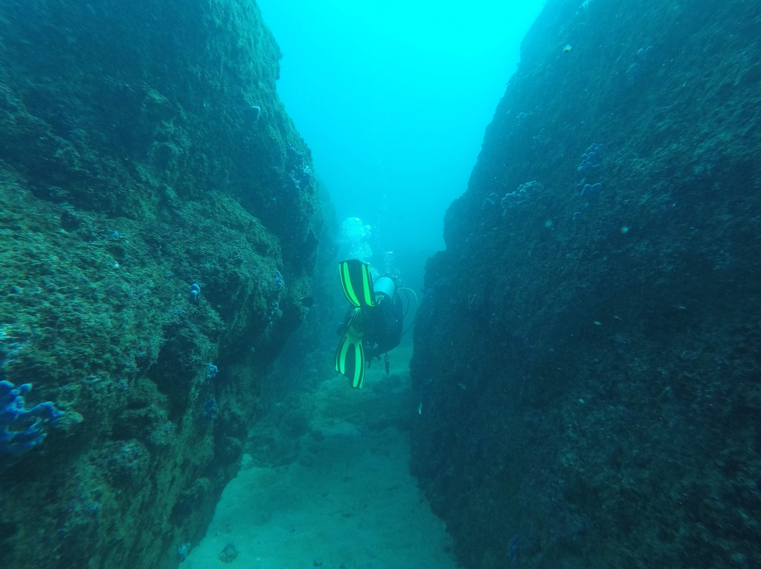 Scuba Diving Anfibios Huatulco景点图片