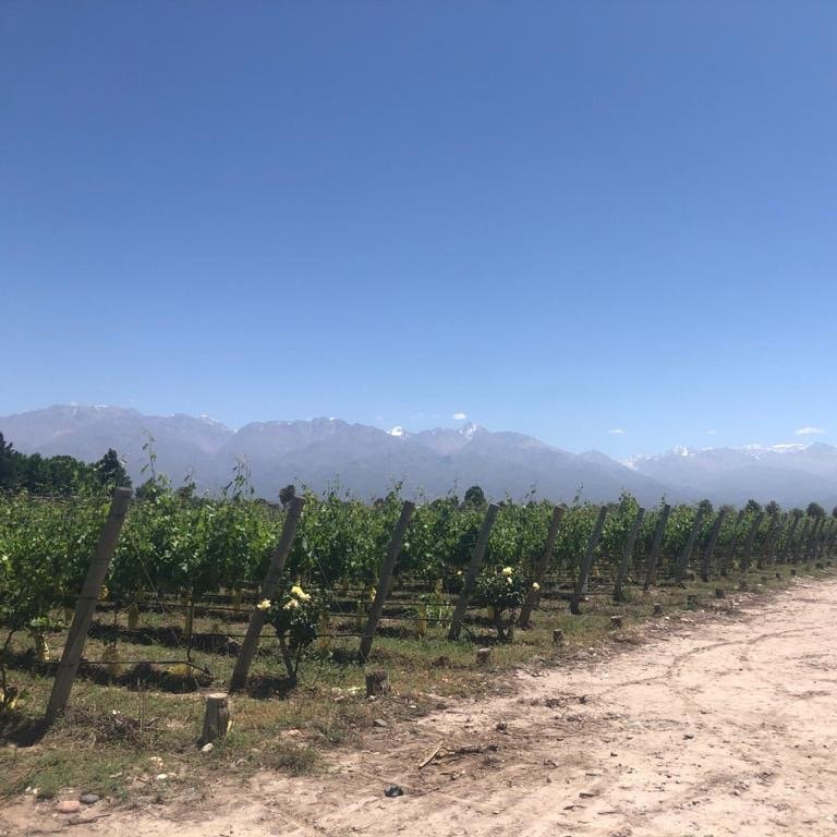 Antucura-Vista Flores必去景点