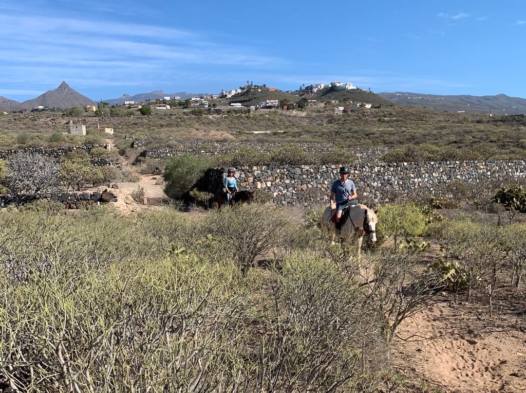 Horse Riding Tenerife-阿罗纳必去景点