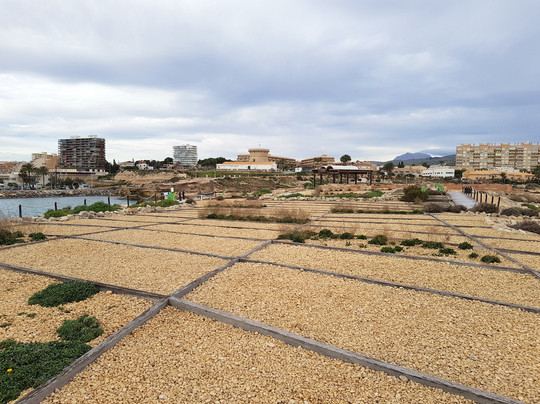 Yacimiento Arqueologico La Illeta dels Banyets-坎佩略必去景点