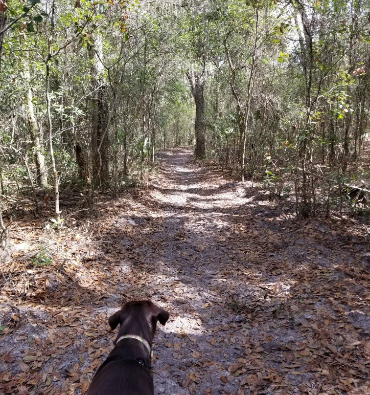 Halpata Tastanaki Preserve-Dunnellon必去景点