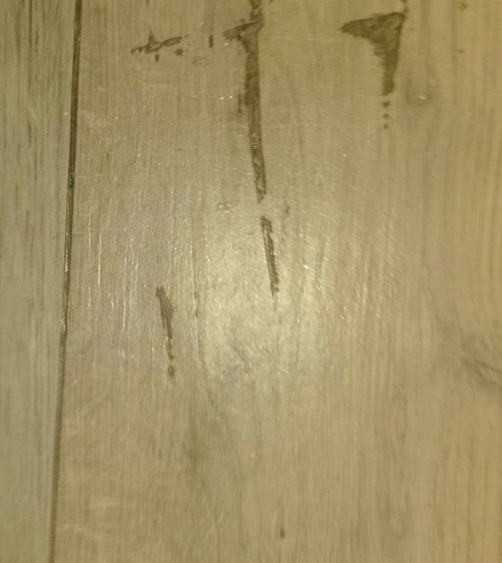 Hampton Inn White House主图