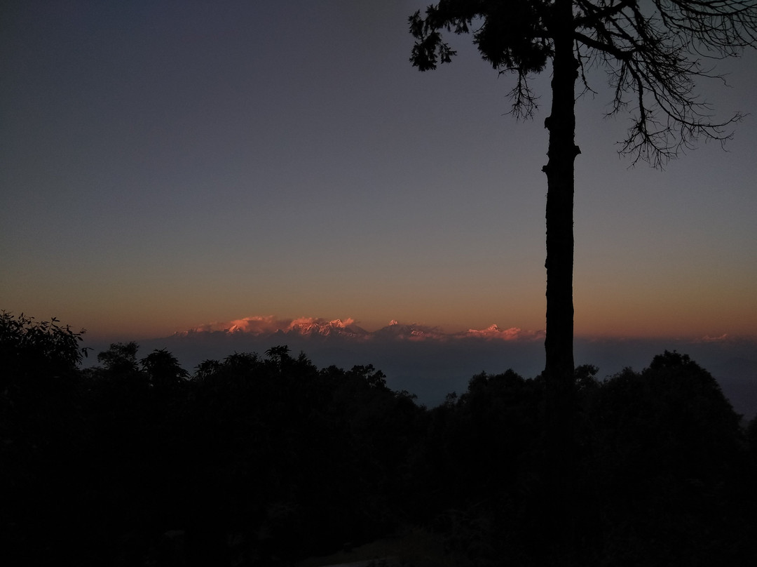Nine Furlongs, Binsar Wildlife Sanctuary主图