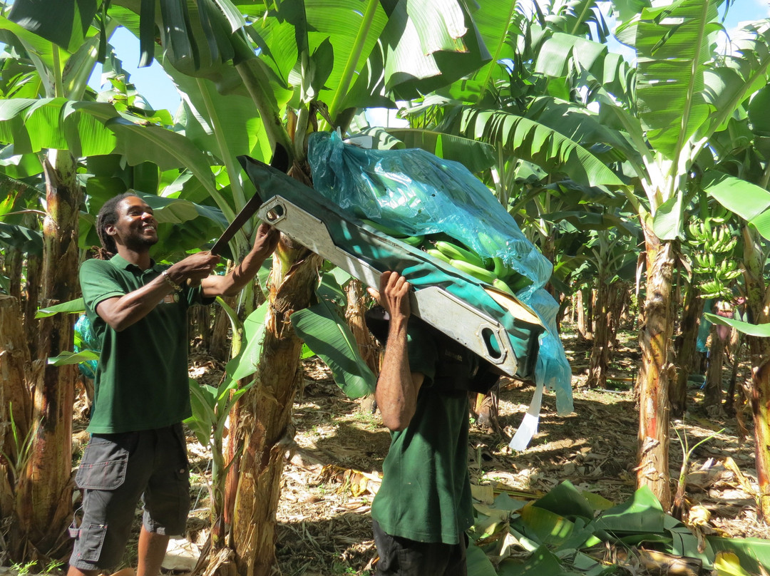 Visit Belfort MQ-Le Lamentin必去景点